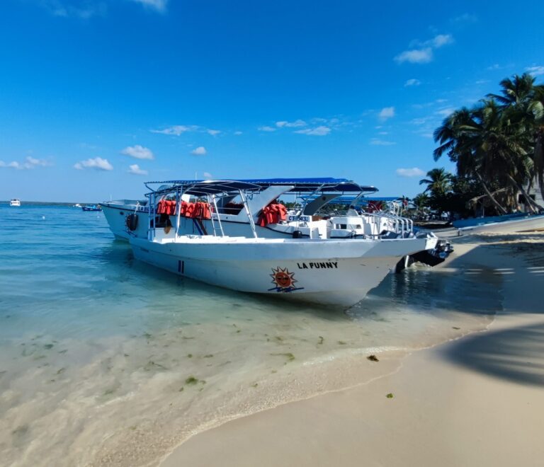 Embarcación en la orilla de Isla Saona, tour Isla Saona en República Dominicana