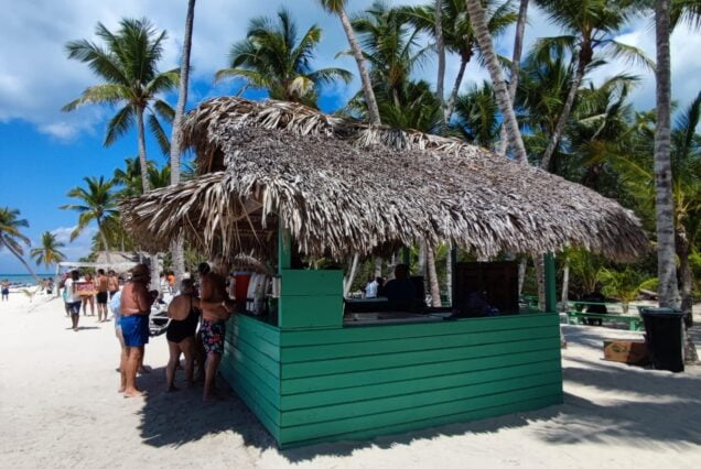 Bar en la playa de Isla Saona, tour Isla Saona en República Dominicana