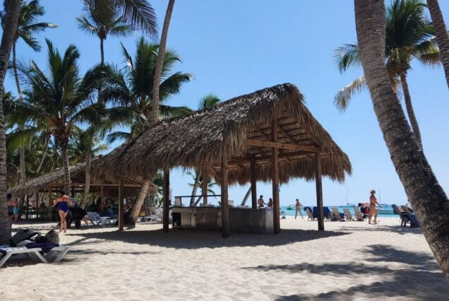 Cabaña de paja en la playa de Isla Saona, un lugar para relajarse durante el Tour Isla Saona