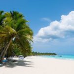 Palmeras y playa de arena blanca en Isla Saona, un destino destacado del Tour Isla Saona