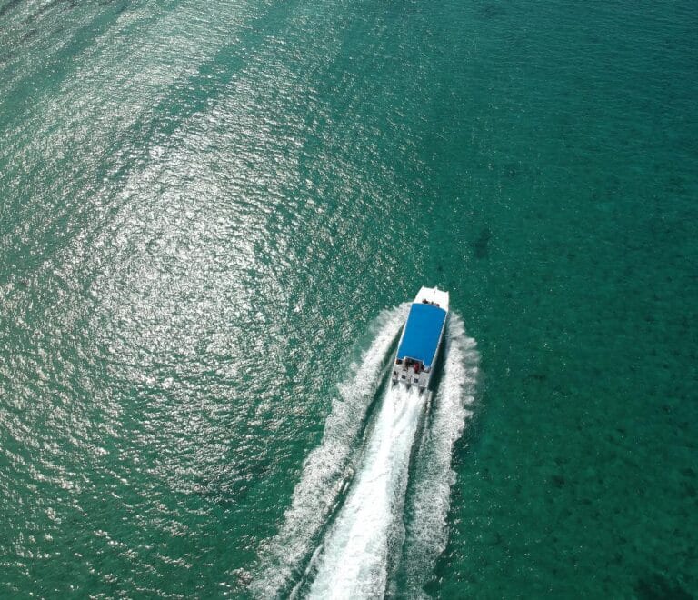 Excursión en catamarán a Isla Saona
