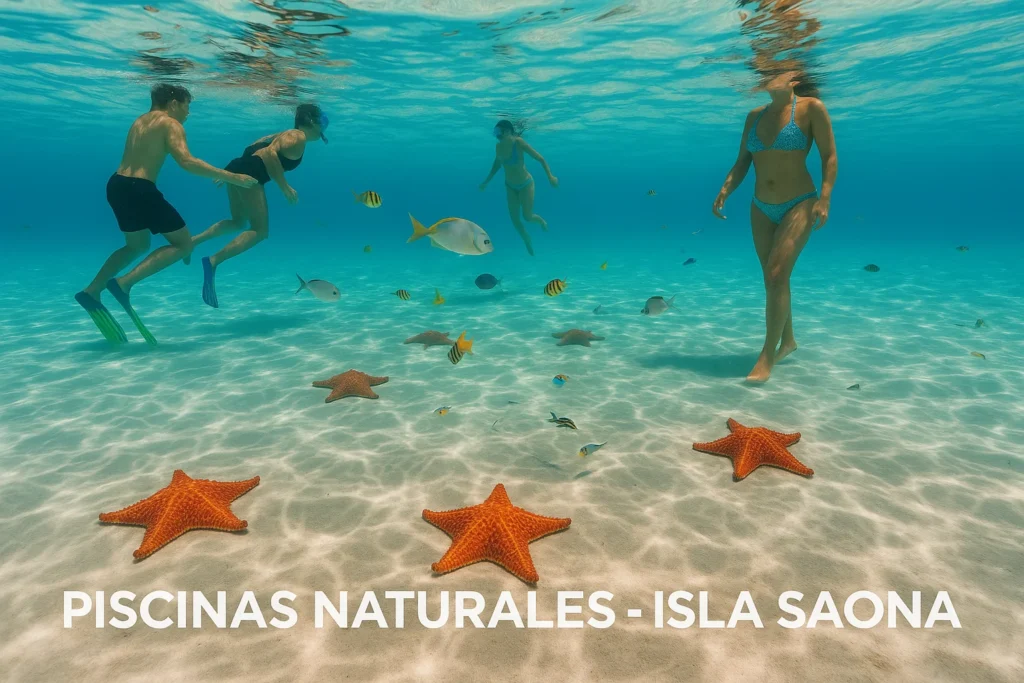 Turistas nadando con estrellas de mar en las piscinas naturales de Isla Saona, paraíso caribeño dominicano