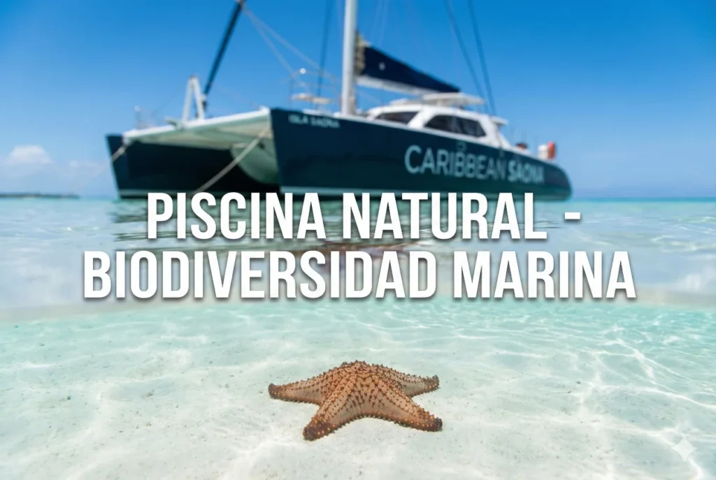 Estrella de mar en la piscina natural de Saona, biodiversidad protegida del Parque Nacional Cotubanamá.