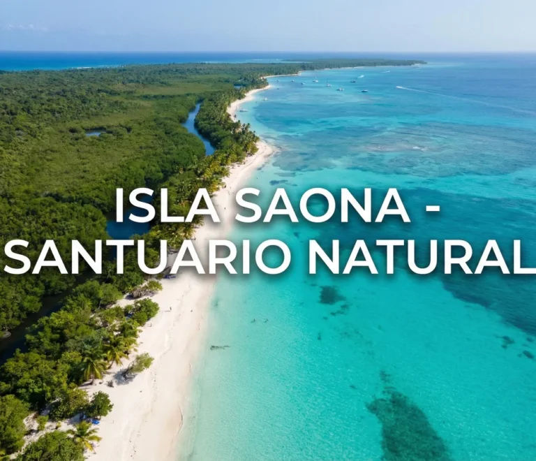 Mapa aéreo mostrando la superficie de 110 km cuadrados de Isla Saona y su ubicación geográfica en el Caribe