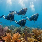 Grupo de buceadores explorando un arrecife de coral durante una inmersión de buceo en Isla Saona