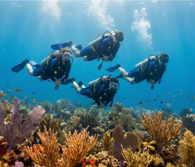 Grupo de buceadores explorando un arrecife de coral durante una inmersión de buceo en Isla Saona