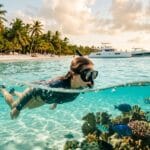 Snorkel Isla Saona